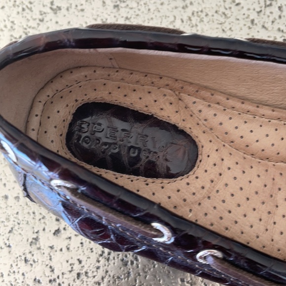 SPERRY TOP SIDERS SHINY BROWN - Picture 5 of 6